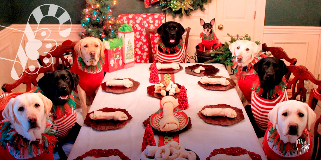 cena navideña para tu perro