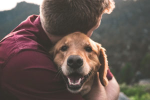9 pasos para saber si tu perro es feliz
