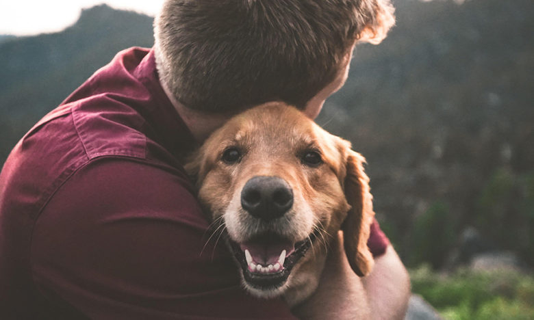 9 pasos para saber si tu perro es feliz