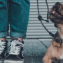 beneficios de tener mascotas para salud mental