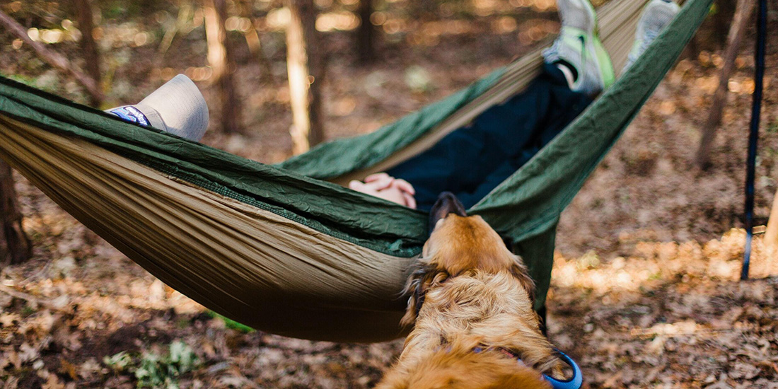 guía máxima acampar con tu mascota