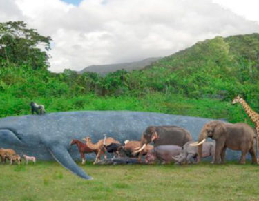 animales mas grandes del mundo